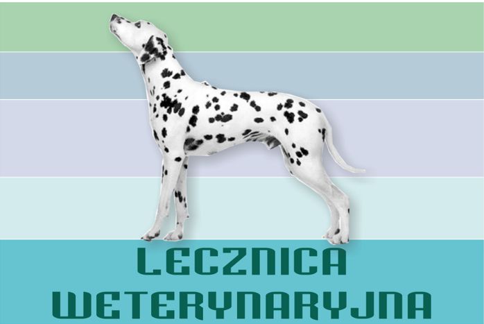 lekarze ełk LECZNICA WETERYNARYJNA